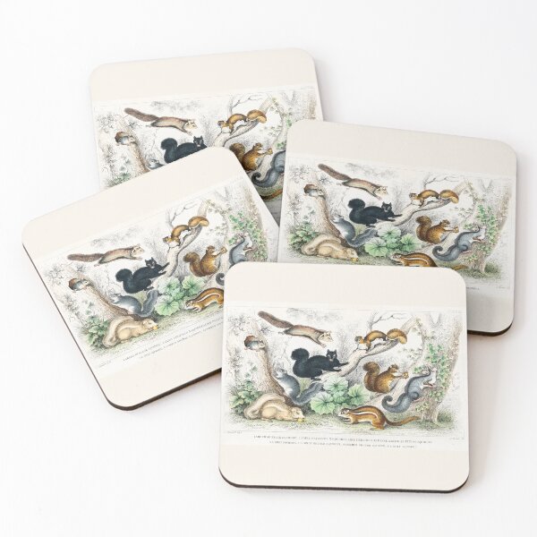 Item preview, Squirrels of the world - by Oliver Goldsmith 1820 designed and sold by Freewheeling.