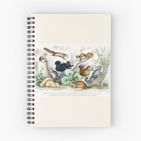 Item preview, Squirrels of the world - by Oliver Goldsmith 1820 designed and sold by Freewheeling.