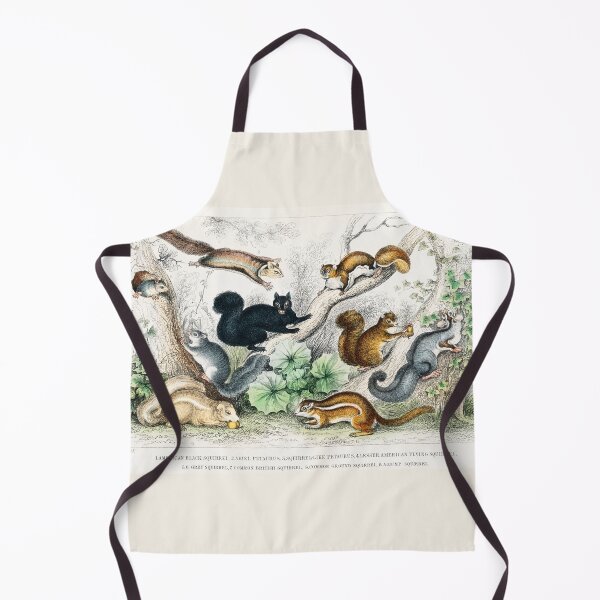 Item preview, Squirrels of the world - by Oliver Goldsmith 1820 designed and sold by Freewheeling.
