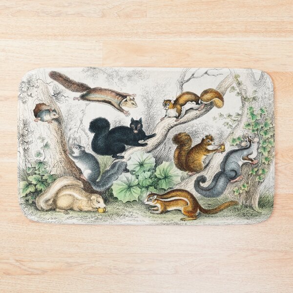 Item preview, Squirrels of the world - by Oliver Goldsmith 1820 designed and sold by Freewheeling.