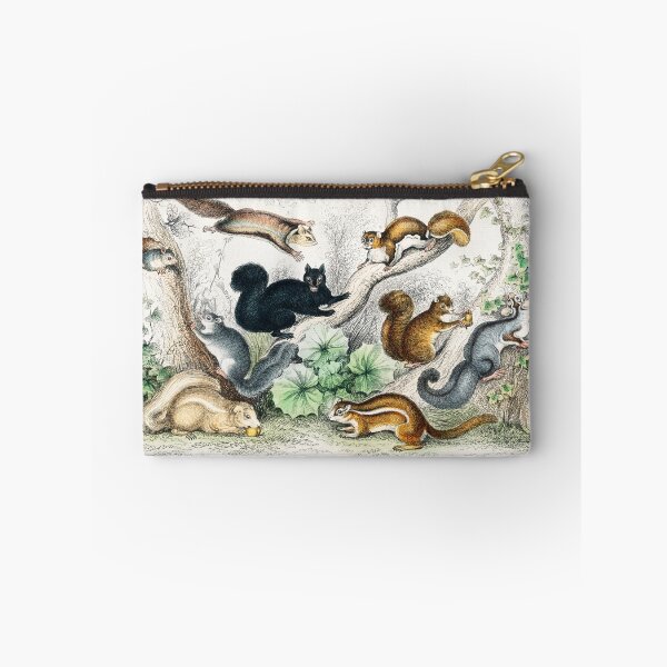 Item preview, Squirrels of the world - by Oliver Goldsmith 1820 designed and sold by Freewheeling.