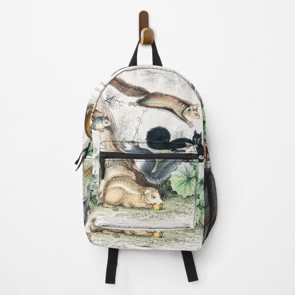 Item preview, Squirrels of the world - by Oliver Goldsmith 1820 designed and sold by Freewheeling.