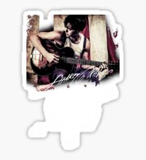 shakey graves Tour 2016 ANR01 Sticker