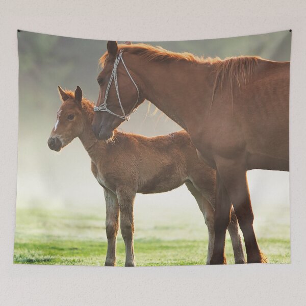 Item preview, Tapestries,Tapestry,throw blankets,comforters,duvet covers ,shower curtains,  Horse,Wild Horses,Riding,animal,horse art,horse posters,horse canvas,horse canvas,horse canvas art wall art,pony designed and sold by eyesight4vision.