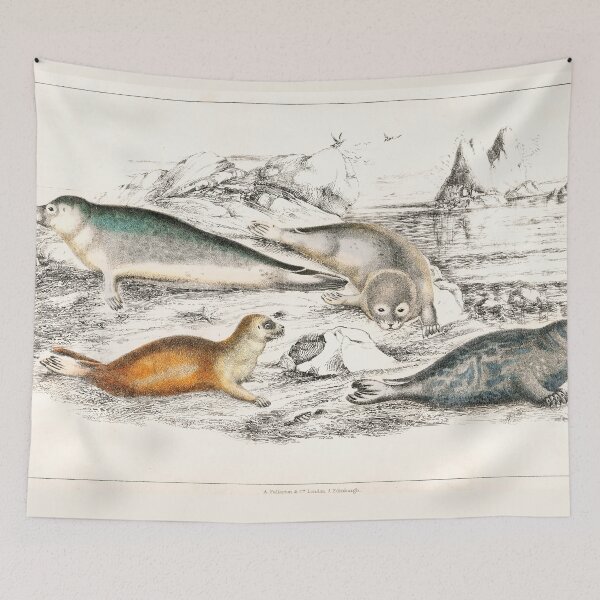 Item preview, Seals of the World - by Oliver Goldsmith 1820 designed and sold by Freewheeling.