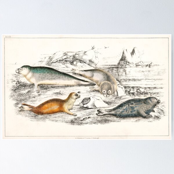 Item preview, Seals of the World - by Oliver Goldsmith 1820 designed and sold by Freewheeling.