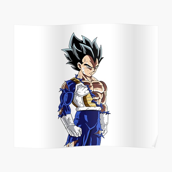 Vegeta Ultra Instinct Warior Dragon Ball Vegeta Ultra Instinct Warior Dragon Ball