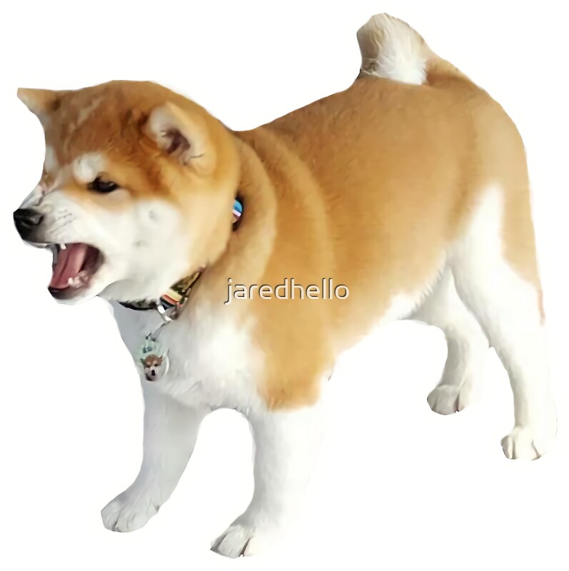 angry shiba stuffed animal