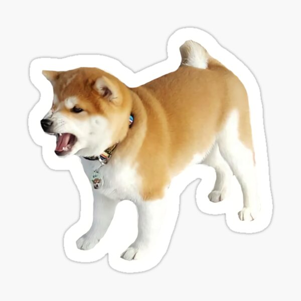 Shiba Scream Sticker
