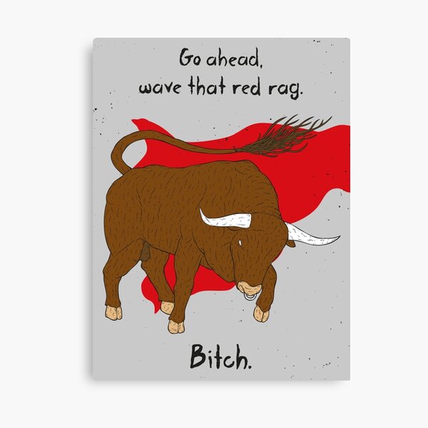 Angry Bull Canvas Print