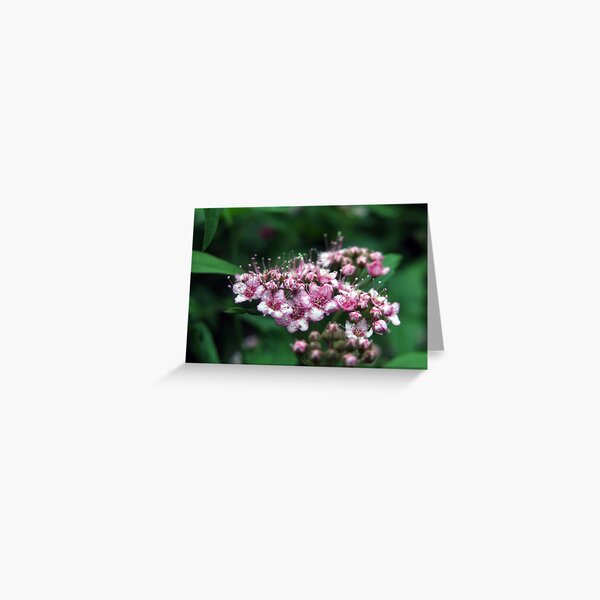 purple Greeting Card