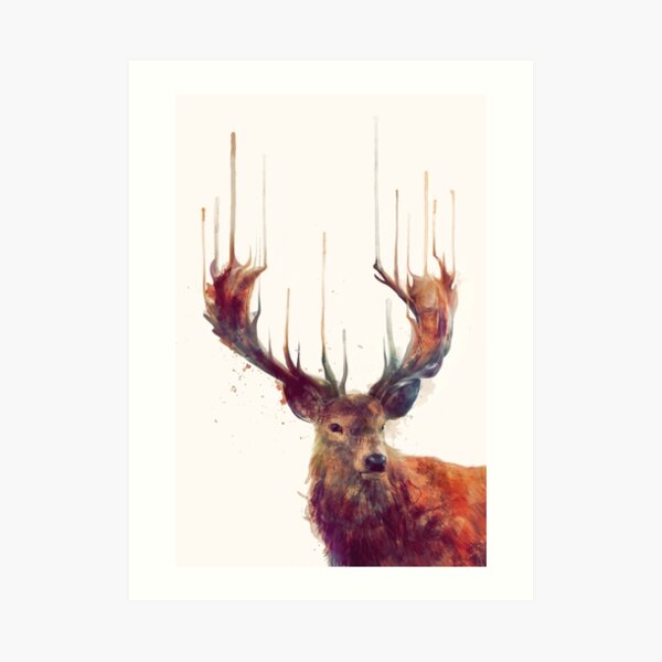 Red Deer Art Print