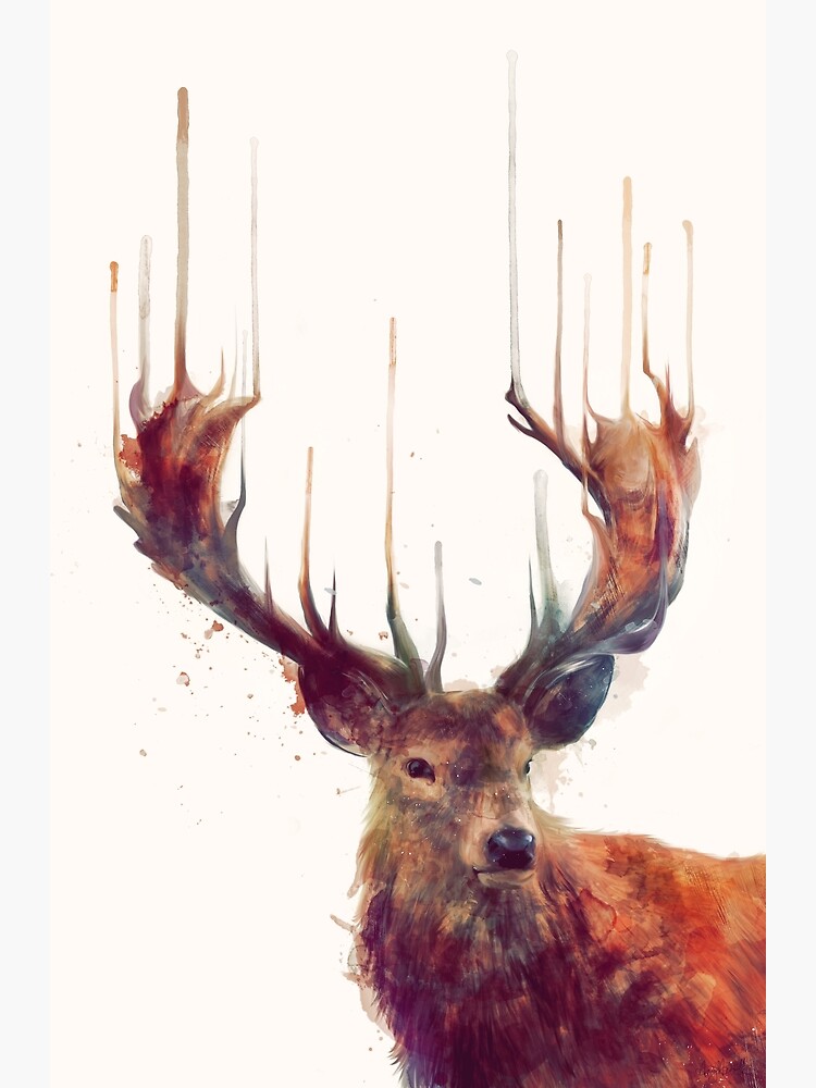 Red Deer by AmyHamilton