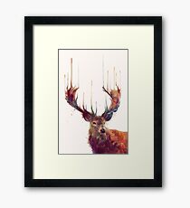 Red Deer Framed Print