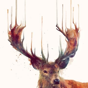 Artwork thumbnail, Red Deer by AmyHamilton