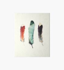 Feathers Art Board