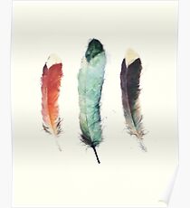 Feathers Poster