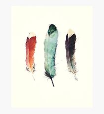 Feathers Photographic Print