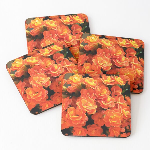 Item preview, Kalanchoe intense colored orange flowers with little blossoms designed and sold by Fashion through the ages.