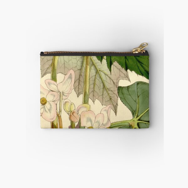 Item preview, Begonia palmata designed and sold by EsotericBotanic.