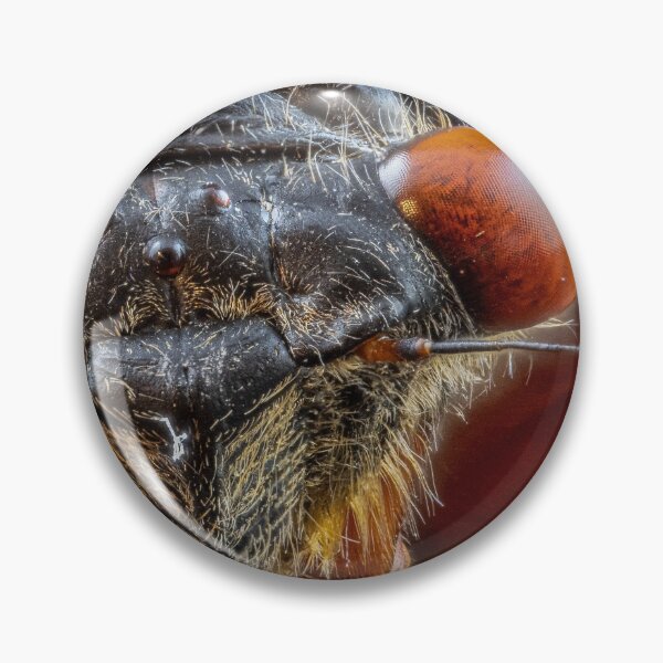Item preview, Close-up of Cicada Insect with Red Eyes designed and sold by Dave Fine.
