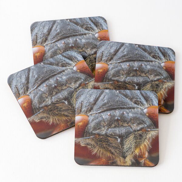 Item preview, Close-up of Cicada Insect with Red Eyes designed and sold by Dave Fine.