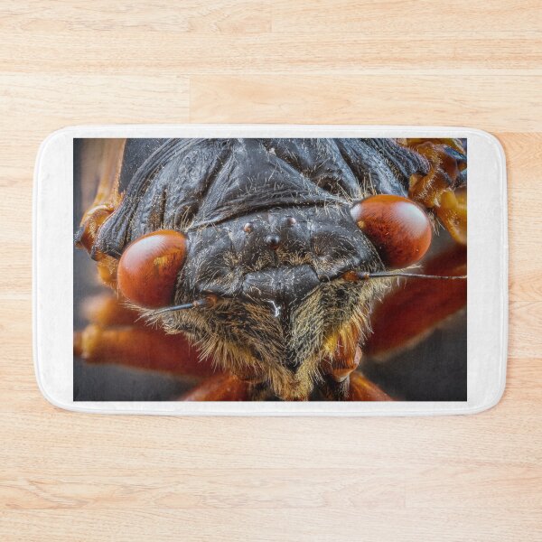 Item preview, Close-up of Cicada Insect with Red Eyes designed and sold by Dave Fine.