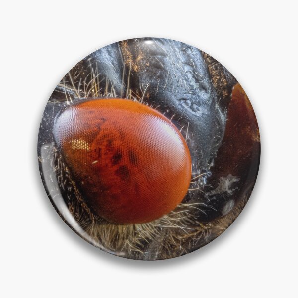 Item preview, Close-up of Cicada Insect with Red Eyes designed and sold by Dave Fine.