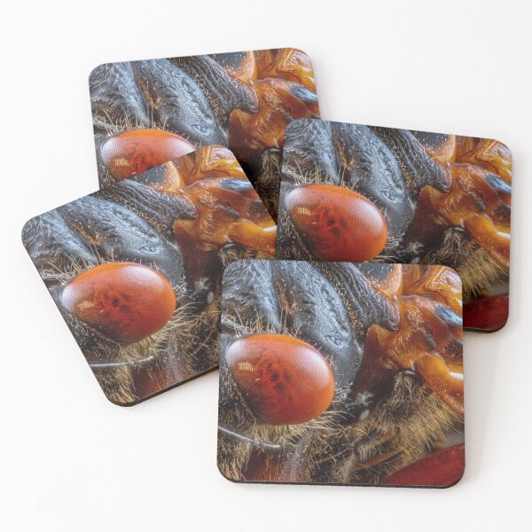 Item preview, Close-up of Cicada Insect with Red Eyes designed and sold by Dave Fine.