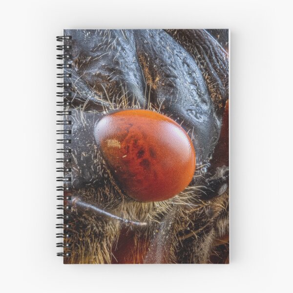 Item preview, Close-up of Cicada Insect with Red Eyes designed and sold by Dave Fine.