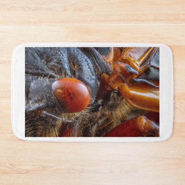 Item preview, Close-up of Cicada Insect with Red Eyes designed and sold by Dave Fine.