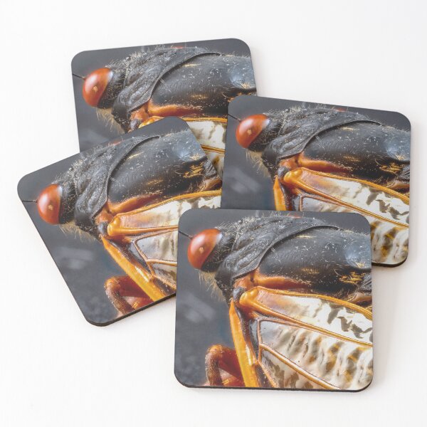 Item preview, Close-up of Cicada Insect with Red Eyes designed and sold by Dave Fine.