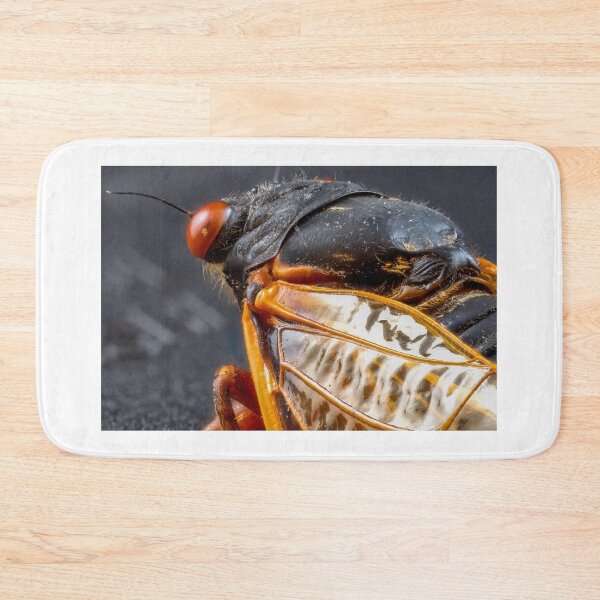 Item preview, Close-up of Cicada Insect with Red Eyes designed and sold by Dave Fine.