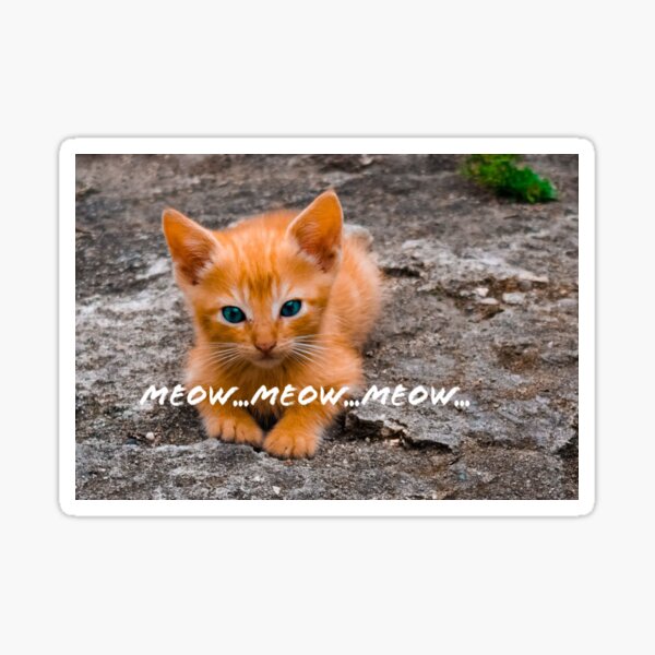 Meow…Meow.. Meow Sticker