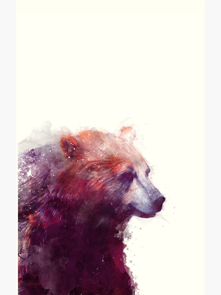 Bear // Calm by AmyHamilton