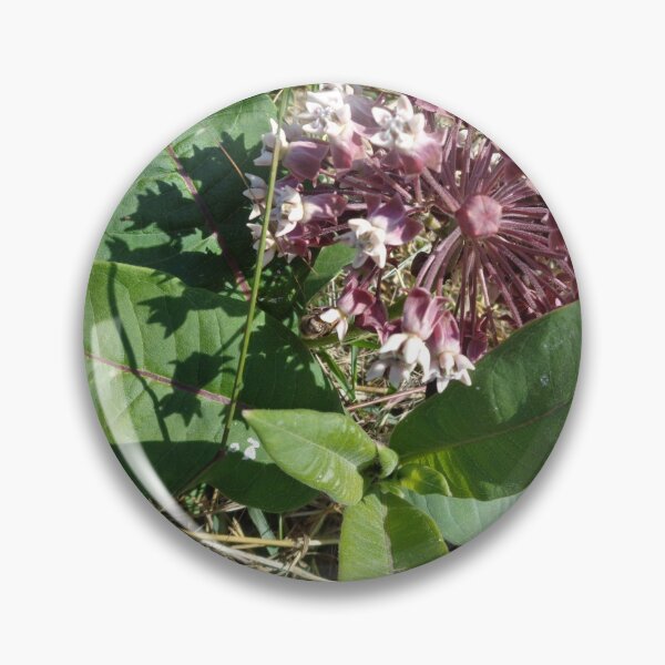 Artikelvorschau, Wilde Tabakblume entworfen und verkauft von Ana Belaj.