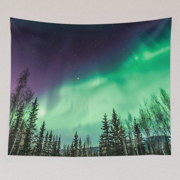 Item preview, Tapestries,Tapestry,throw blankets,comforters,duvet covers ,shower curtain,northern lights design , nature scene,the northern lights designed and sold by eyesight4vision.