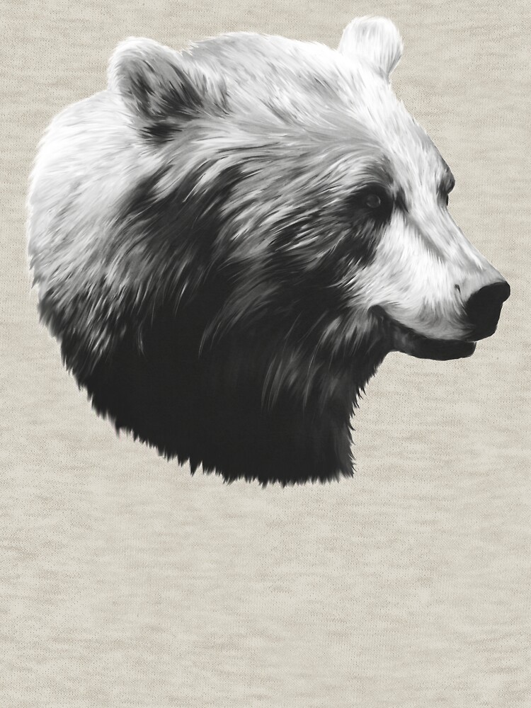 Bear // Calm Sketch by AmyHamilton