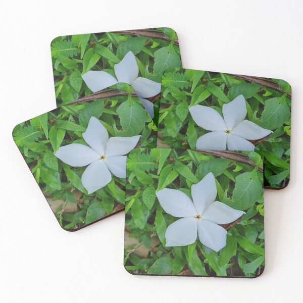 Item preview, White flower on the grass  designed and sold by Sitiamirah.