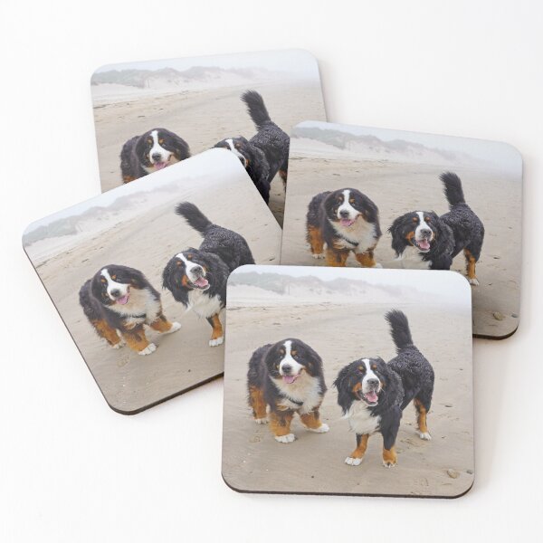 Item preview, Two Bernese Mountain Dogs on the beach  designed and sold by AlbertandOlly.