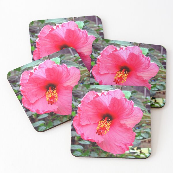 Item preview, Pink Hibiscus designed and sold by tomg.