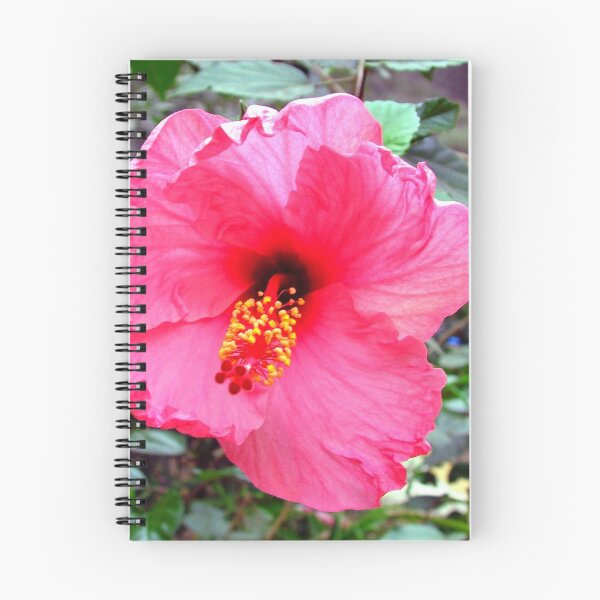 Item preview, Pink Hibiscus designed and sold by tomg.