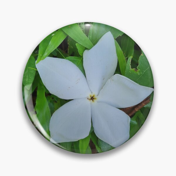 Item preview, White flower on the grass  designed and sold by Sitiamirah.