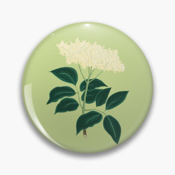 Item preview, Elderberry botanical drawing designed and sold by Luaillustration.