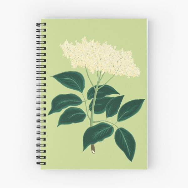 Item preview, Elderberry botanical drawing designed and sold by Luaillustration.