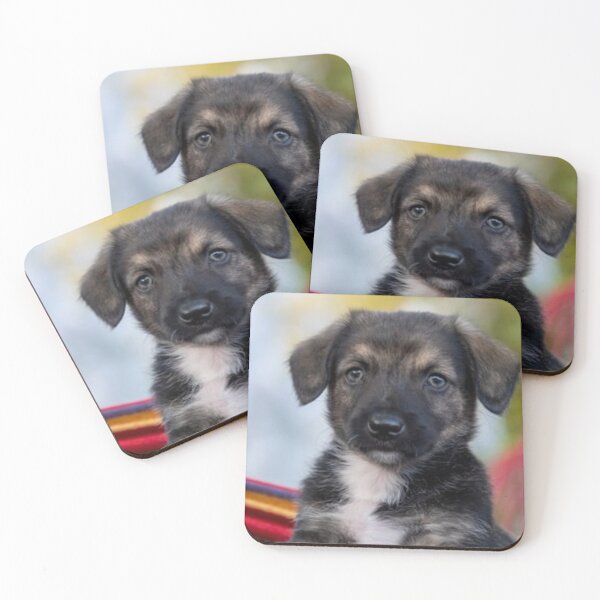 Aperçu de l'œuvre Chiot mignon - Chiots créée et vendue par leea1l.