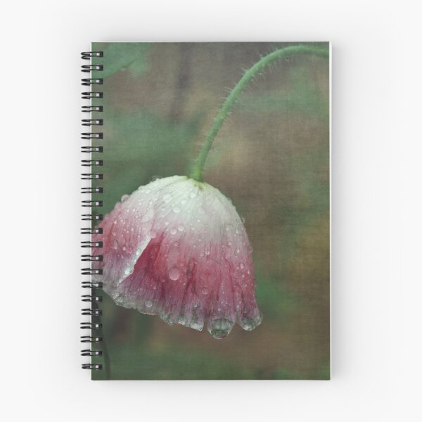 Item preview, Soggy Poppy designed and sold by Clare Colins.