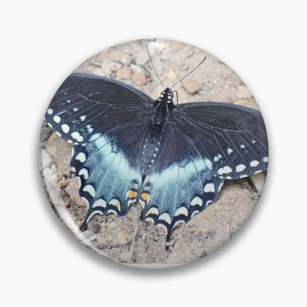 Item preview, Spicebush Swallowtail  designed and sold by TC-Has-Riddles.