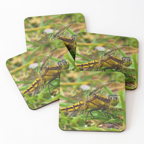Item preview, Female black tailed skimmer dragonfly designed and sold by jonfun1.