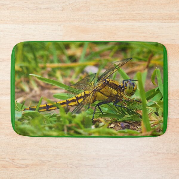 Item preview, Female black tailed skimmer dragonfly designed and sold by jonfun1.